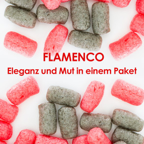 Flamenco - Verpackungschips Aus Pflanzenstärke BIO 200l