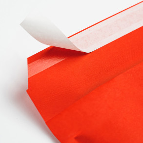 100 Luftpolster-Versandtaschen Schwarz 170x225 mm C13 EKO TAP Comebag®