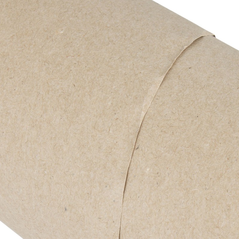 Packpapier PackSnake 39cmx450m 1 Stück 1200l